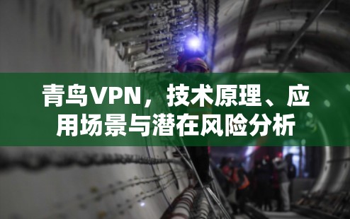 青鸟VPN，技术原理、应用场景与潜在风险分析
