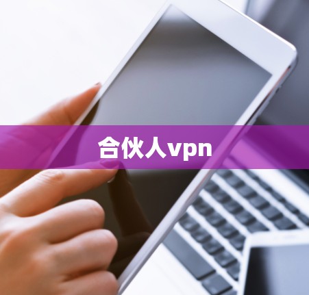 合伙人vpn