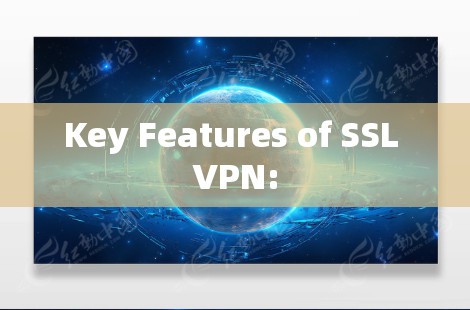 Key Features of SSL VPN: