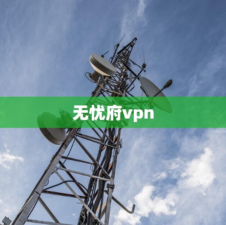 无忧府vpn