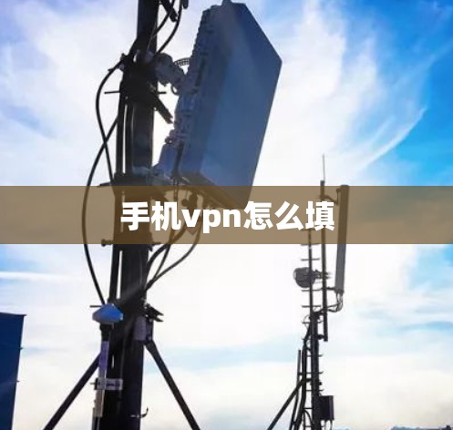 手机vpn怎么填