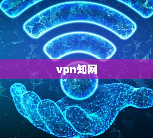 vpn知网
