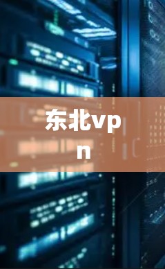 东北vpn 东北vpn
