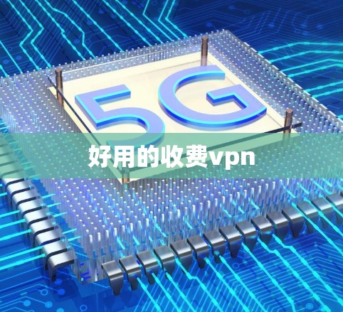 好用的收费vpn