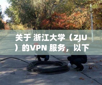 关于 浙江大学（ZJU）的VPN 服务，以下是相关信息和使用指南