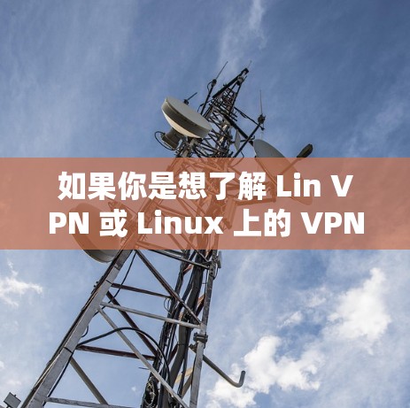 如果你是想了解 Lin VPN 或 Linux 上的 VPN 配置,这里有一些常见的信息