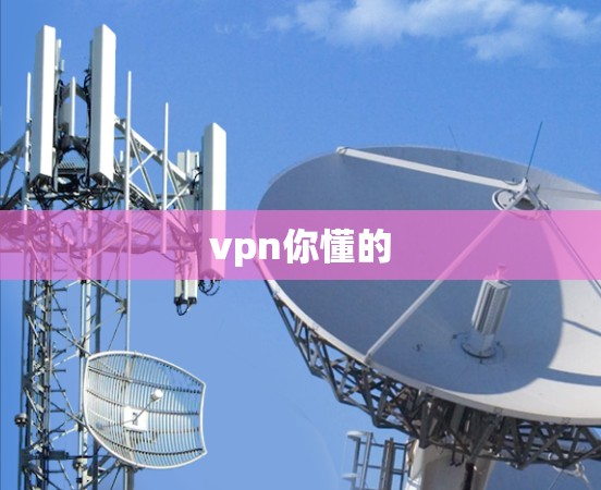 vpn你懂的